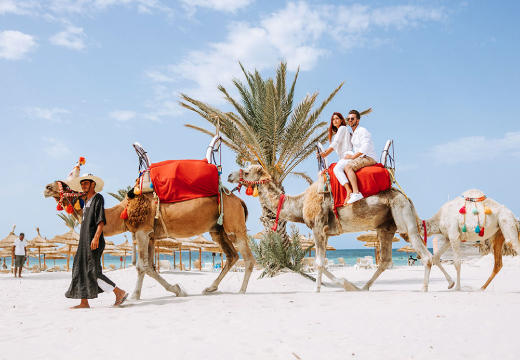 Djerba: Exploration guidée du Lagon Bleu en montant à dos de chameau à Djerba