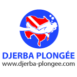 Logo DPLager - Partenaire officiel