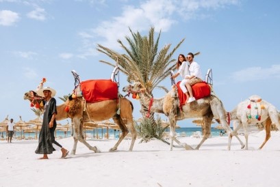 Balade à Dos de Chameau à Djerba – Aventure Authentique | Découverte Nature à Djerba